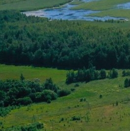 Продажа земли Соловьевские Дачи СНТ