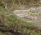 Продать Земельные участки, земля КП Русская усадьба   