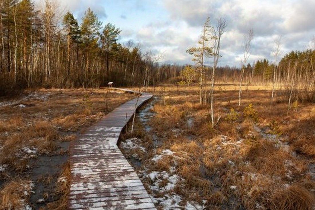 Продажа дома пос. Белоостров, Инструментальная улица, 8