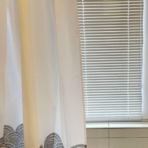 1-комн квартира Пушкин, улица Камероновская, 10