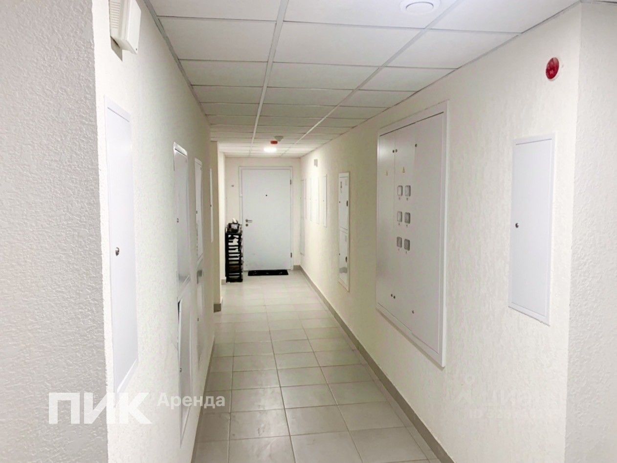 Аренда студии Муравская улица, 38Бк3