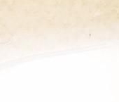 Сдать в аренду Квартиры вторичка проспект Елизарова, 20   