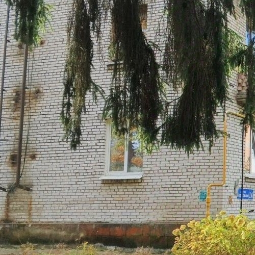 1-комн квартира пос. Ильичево, улица Парковая, 14