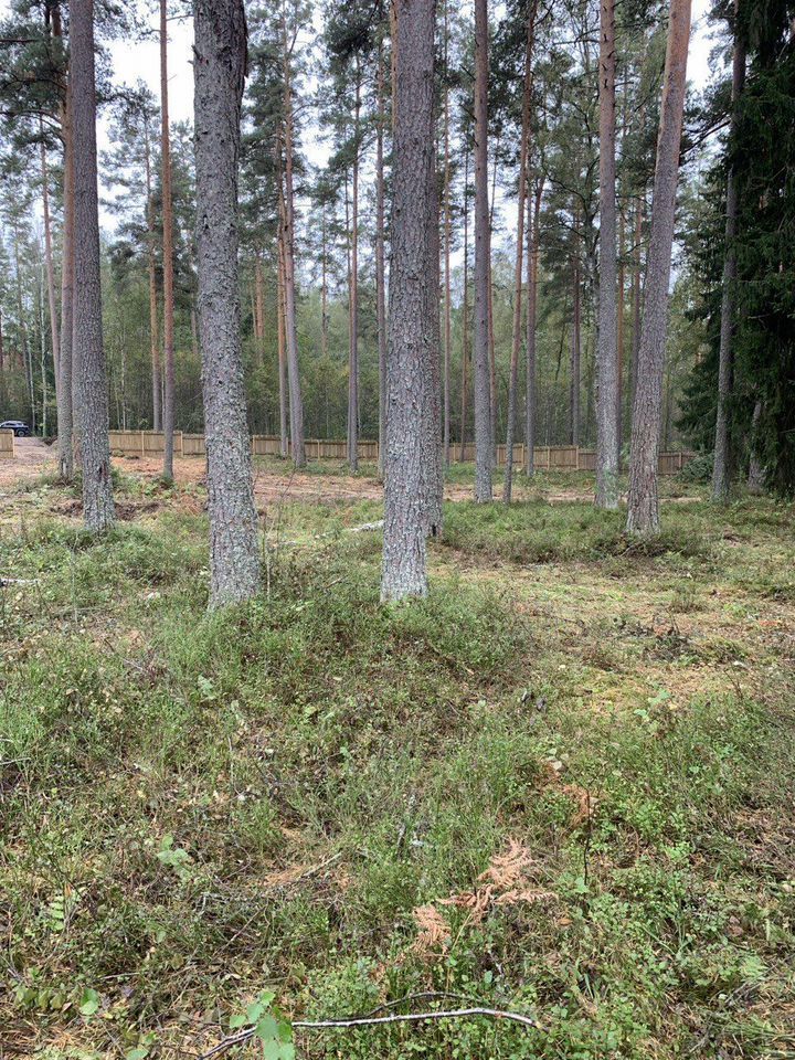 Продажа земли пос. Мичуринское, улица Железнодорожная