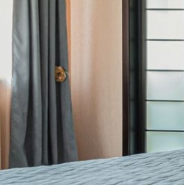 Продажа 3-комн квартиры на вторичном рынке Сестрорецк, улица Токарева, 6