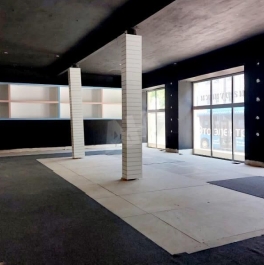 Аренда отдельного здания Старая Басманная ул,  д. 13