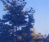 Продать Квартиры вторичка Днепропетровская улица, 27к1   