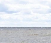 Продать Земельные участки, земля пос. Пески, проезд Флагманский   