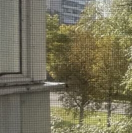 Продажа 2-комн квартиры на вторичном рынке Кириши, проспект Ленина, 17В Продажа 2-комн квартиры на вторичном рынке Кириши, проспект Ленина, 17В