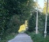 Продать Земельные участки, земля Сосновый СНТ  186 