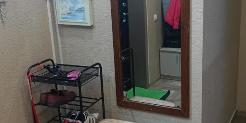 1-комн квартира Колпино, шоссе Вознесенское, 49к2