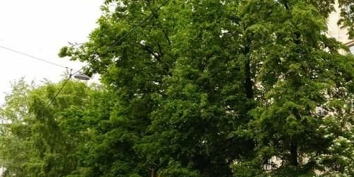 3-комн квартира улица Блохина, 15