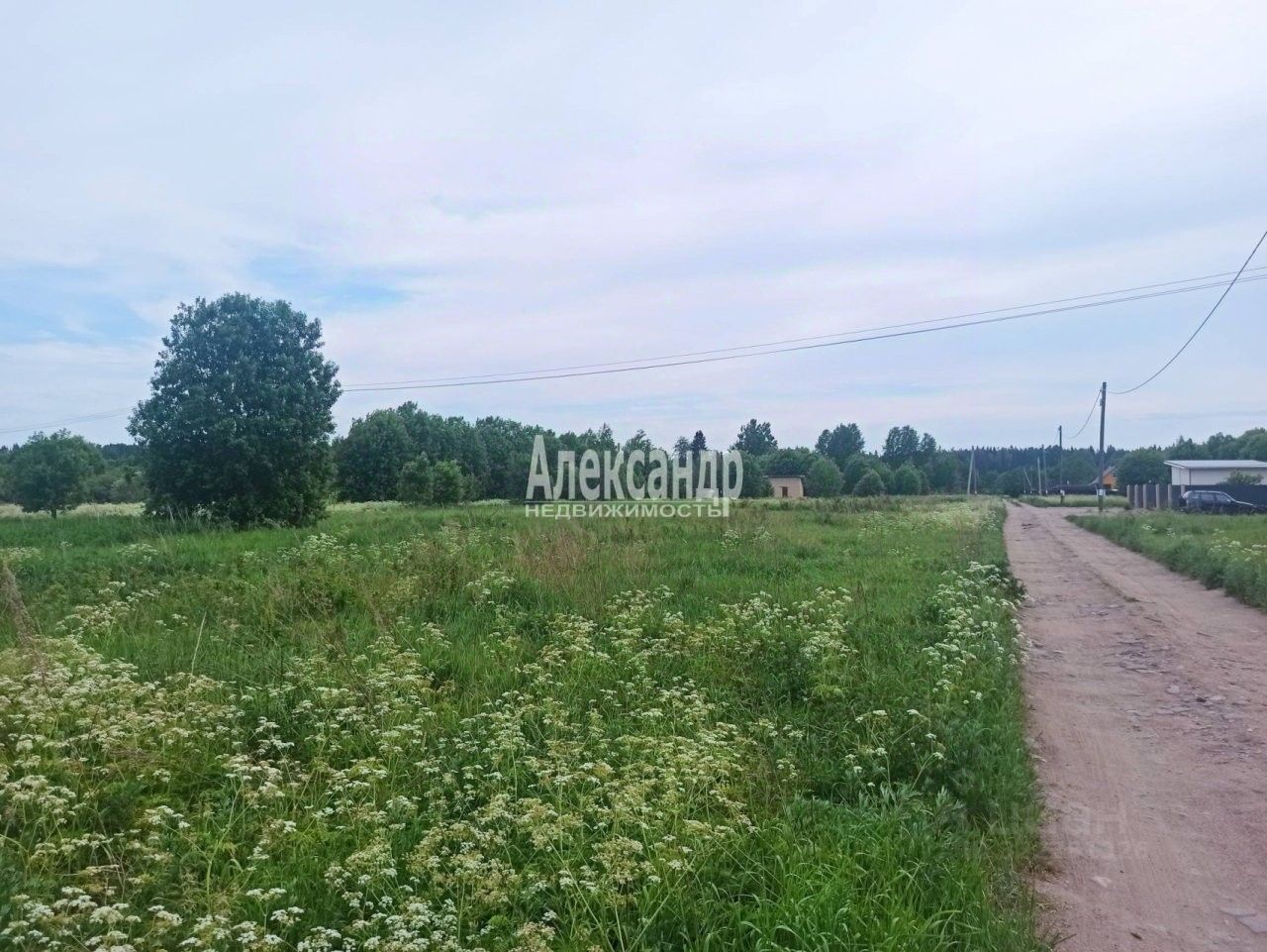 Продажа земли пос. Селезнево, проезд 3-й Полевой
