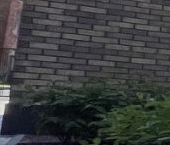 Продать Квартиры вторичка проспект Обуховской обороны, 36   