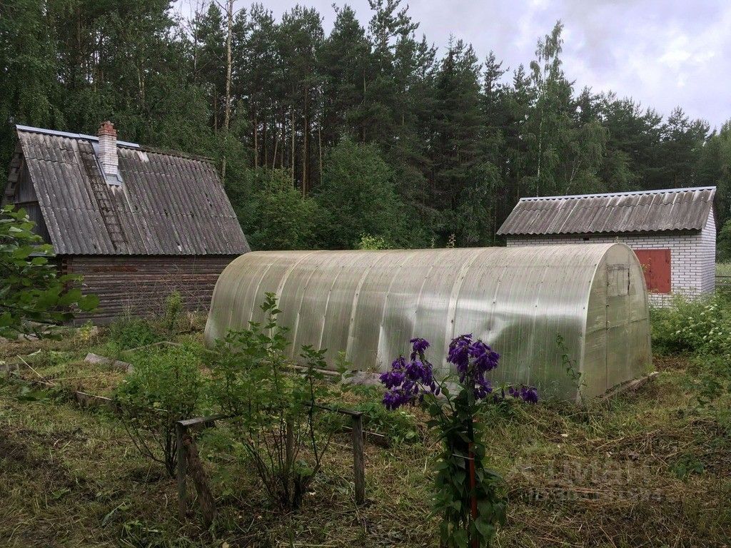 Продажа дома Будогощь пгт, улица Новая, 7