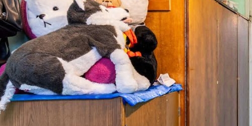 3-комн квартира Софийская улица, 55