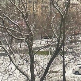 Продажа 1-комн квартиры на вторичном рынке улица Дмитрия Устинова, 6