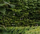 Продать Квартиры вторичка улица Ефремова, 19к2   