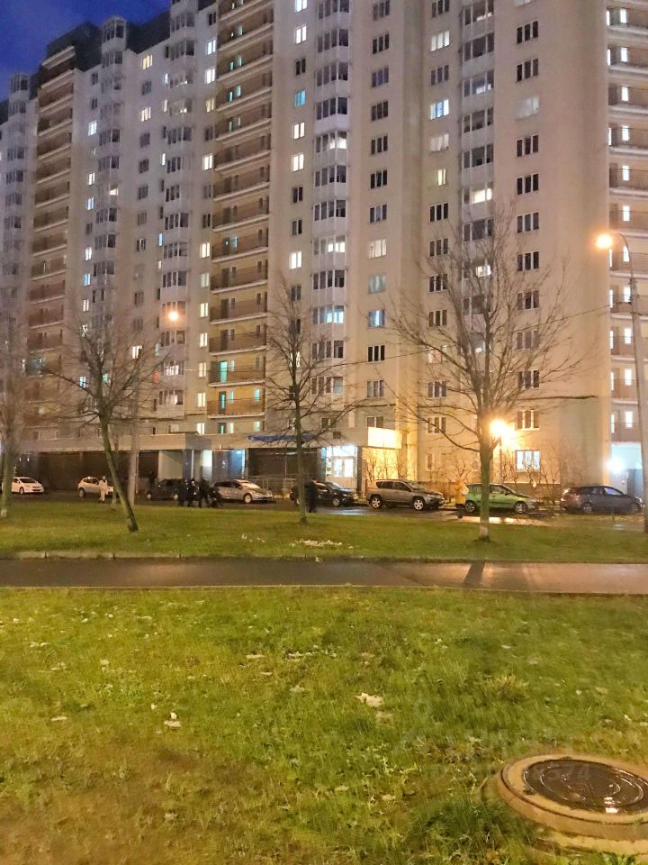 Продажа 1-комн квартиры на вторичном рынке Богатырский проспект, 52к1