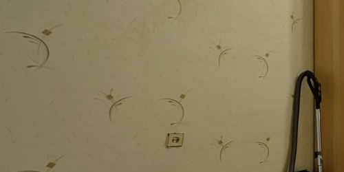 1-комн квартира Дибуновская улица, 37