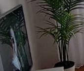 Продать Квартиры вторичка Агробиостанция мкр, Чашниково пгт, 21   