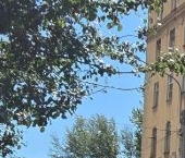 Продать Комнаты в квартирах улица Чапыгина, 11   