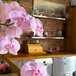 Продажа 1-комн квартиры на вторичном рынке Южный, ул Радужная,  д. 23