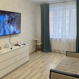 Продажа 1-комн квартиры на вторичном рынке Подольск, Плещеевская улица,  д. 42 к1