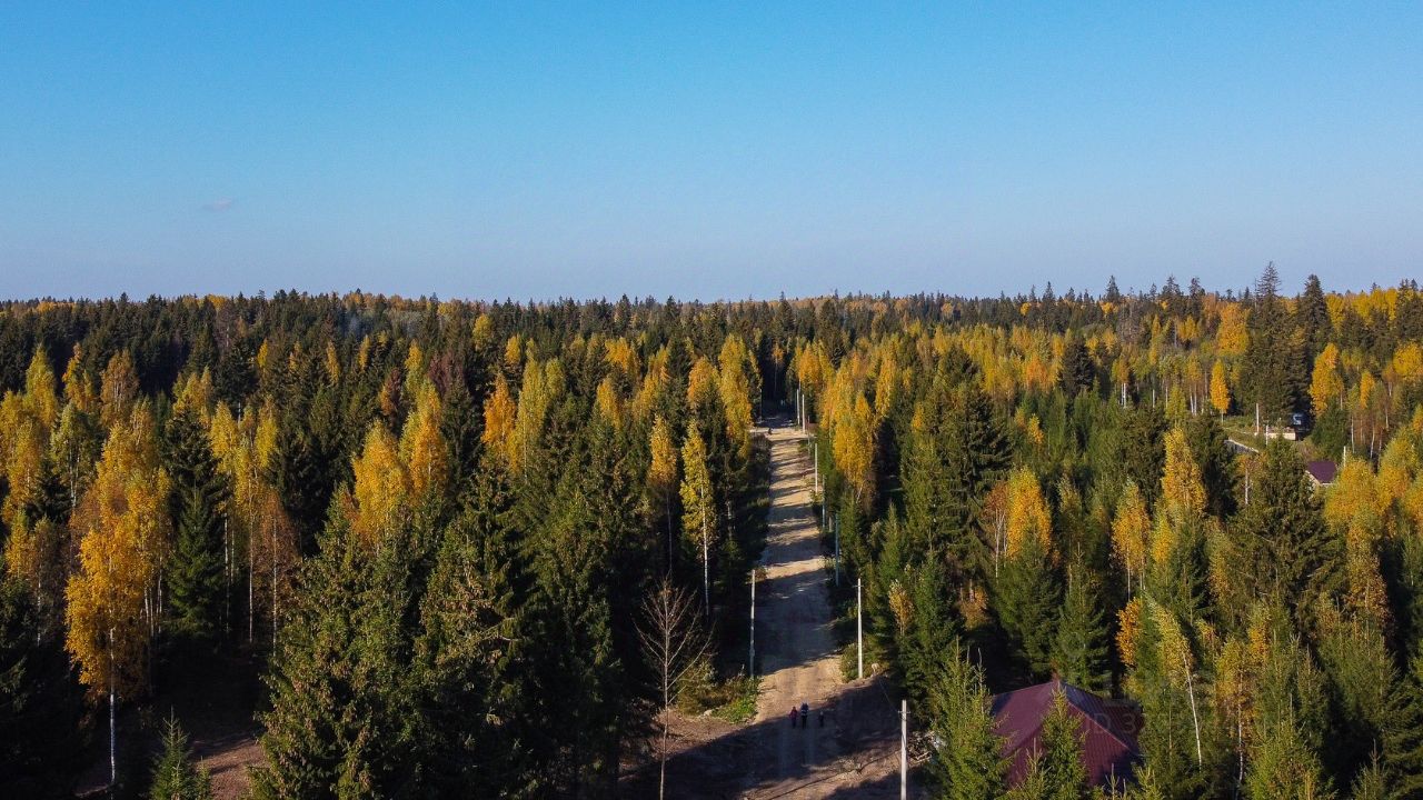 Продажа земли д. Черемыкино, улица Лесогорская