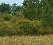 Продать Земельные участки, земля д. Муя, улица Центральная   