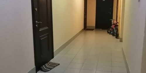 1-комн квартира Всеволожск г., Московская ул. ,  д. 29