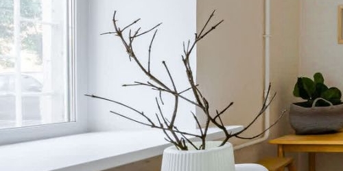 1-комн квартира 14-я Васильевского острова линия, 71