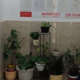 Продажа 1-комн квартиры на вторичном рынке Одинцово, ул Чистяковой,  д. 62
