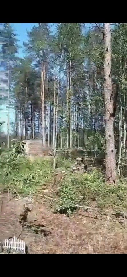 Продажа земли СОСН Раздолье тер., переулок Райский