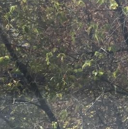 Продажа 1-комн квартиры на вторичном рынке 7-я Кожуховская улица, 10К2 Продажа 1-комн квартиры на вторичном рынке 7-я Кожуховская улица, 10К2