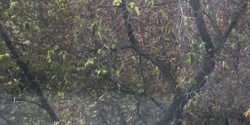 1-комн квартира 7-я Кожуховская улица, 10К2