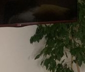 Продать Квартиры вторичка Лазоревый проезд, 3   