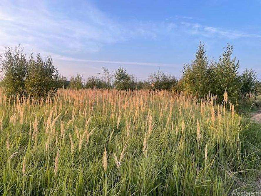 Продажа земли деревня Аргуново
