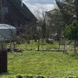 Продажа земли Никольское, Сокол-1 СНТ