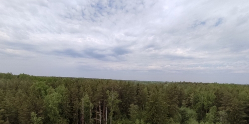 1-комн квартира Ломоносов г., Михайловская ул. ,  д. 51