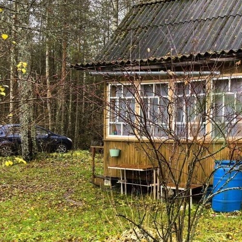 Коттедж/дом Мшинская садоводческий массив, Балтиец СНТ, проезд Южный