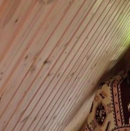 Продажа дома Мшинская садоводческий массив, Ворошиловец СНТ, д. 21 Продажа дома Мшинская садоводческий массив, Ворошиловец СНТ, д. 21