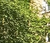 Продать Квартиры вторичка Партизанская улица, 49К2   