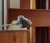 Сдать в аренду Квартиры вторичка улица Шамшева, 13   