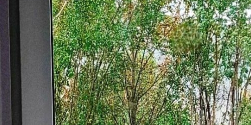 1-комн квартира проспект Обуховской обороны, 36