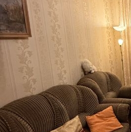 Продажа 3-комн квартиры на вторичном рынке Сергиев Посад, Озерная улица, 1 Продажа 3-комн квартиры на вторичном рынке Сергиев Посад, Озерная улица, 1