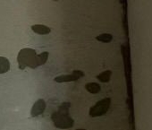 Продать Квартиры вторичка Город-событие мкр, с. Лайково, 69   