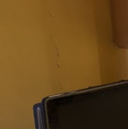 Аренда 2-комн квартиры на вторичном рынке Боровское шоссе, 18К1