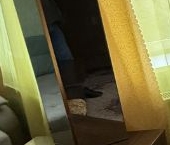 Сдать в аренду Квартиры вторичка Майданово мкр, 1к1   