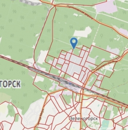 Продажа земли Зеленогорск г., Лесная ул. , д. 4 Продажа земли Зеленогорск г., Лесная ул. , д. 4